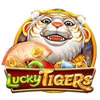 Jiliok Sabong Betting Provider